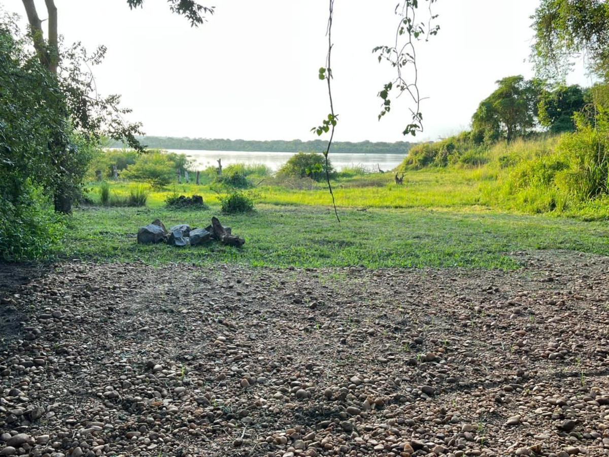 Murchison Giraffe Camp Paraa Exteriör bild