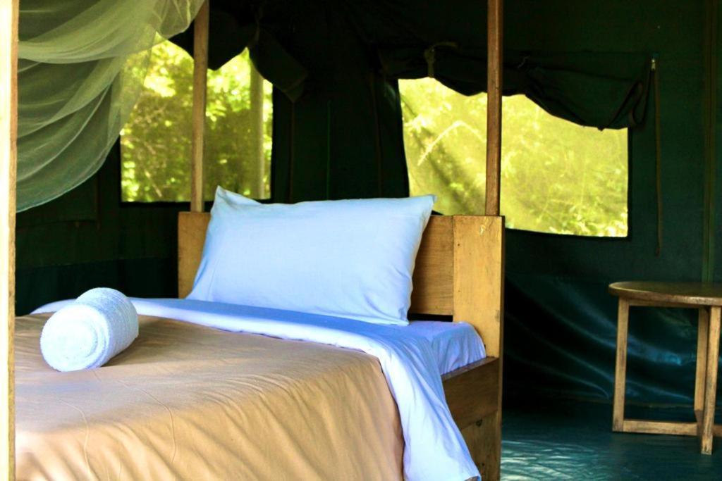 Murchison Giraffe Camp Paraa Exteriör bild