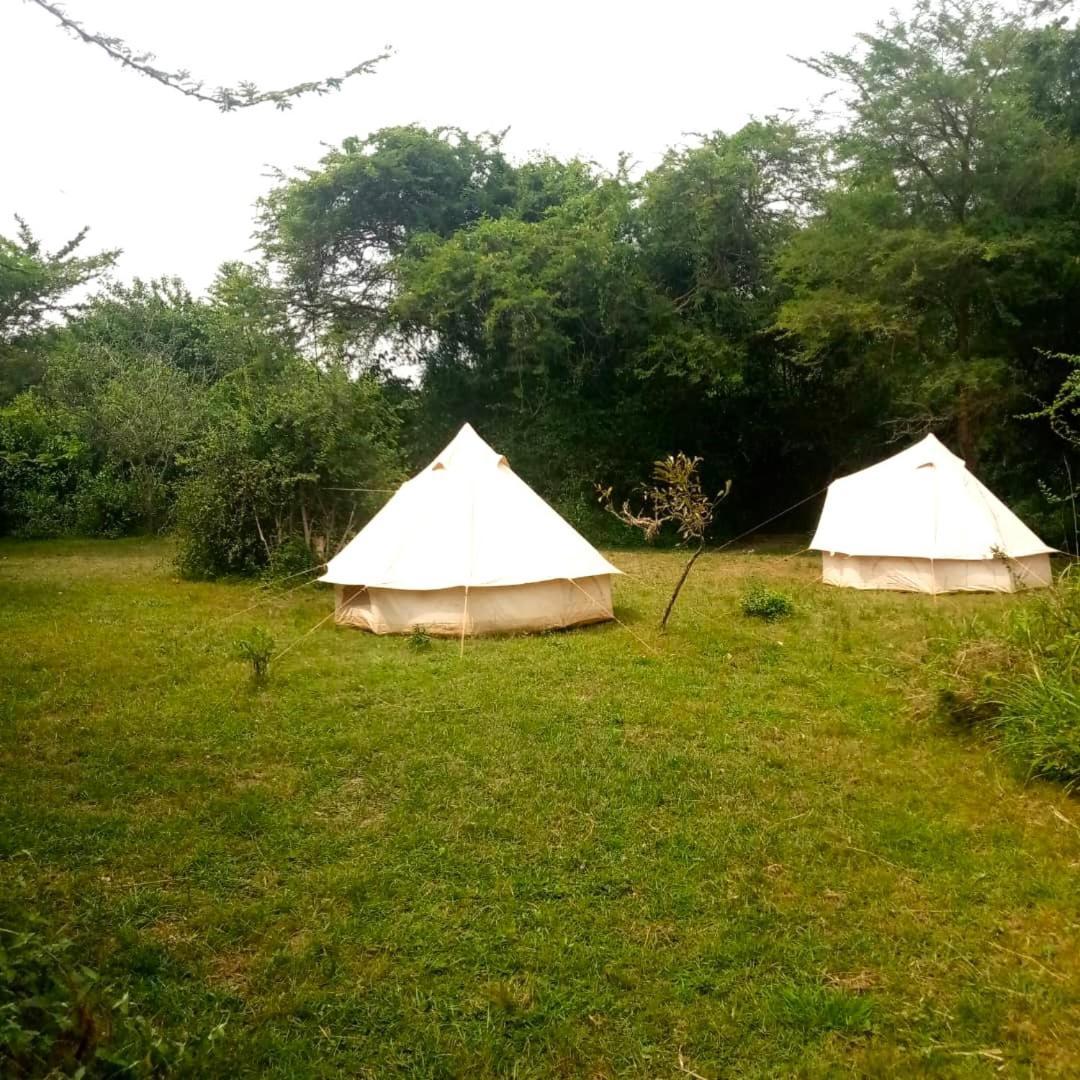Murchison Giraffe Camp Paraa Exteriör bild