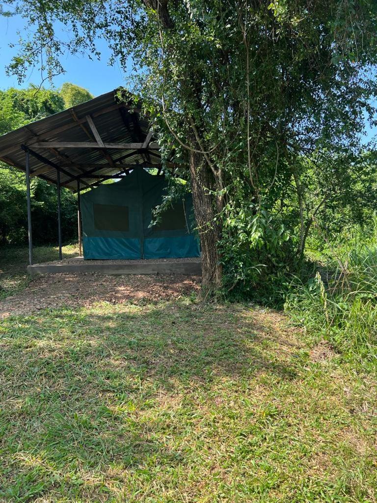 Murchison Giraffe Camp Paraa Exteriör bild